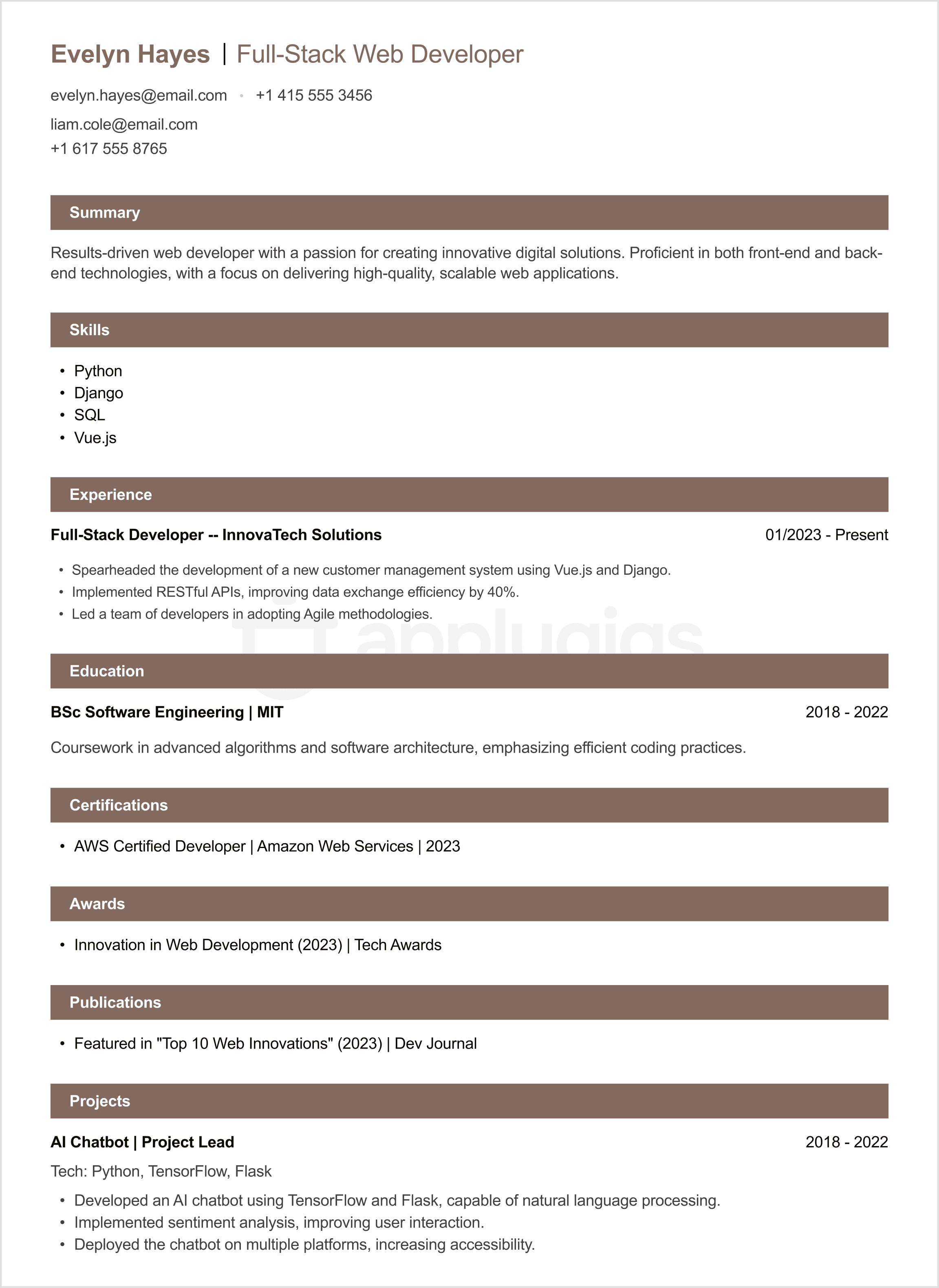 Web Developer CV example