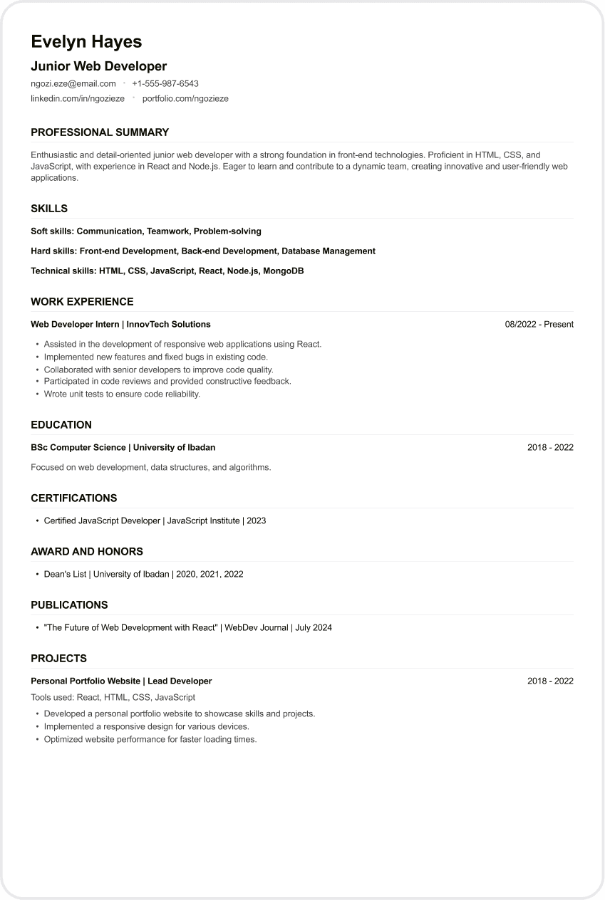 Web Developer CV