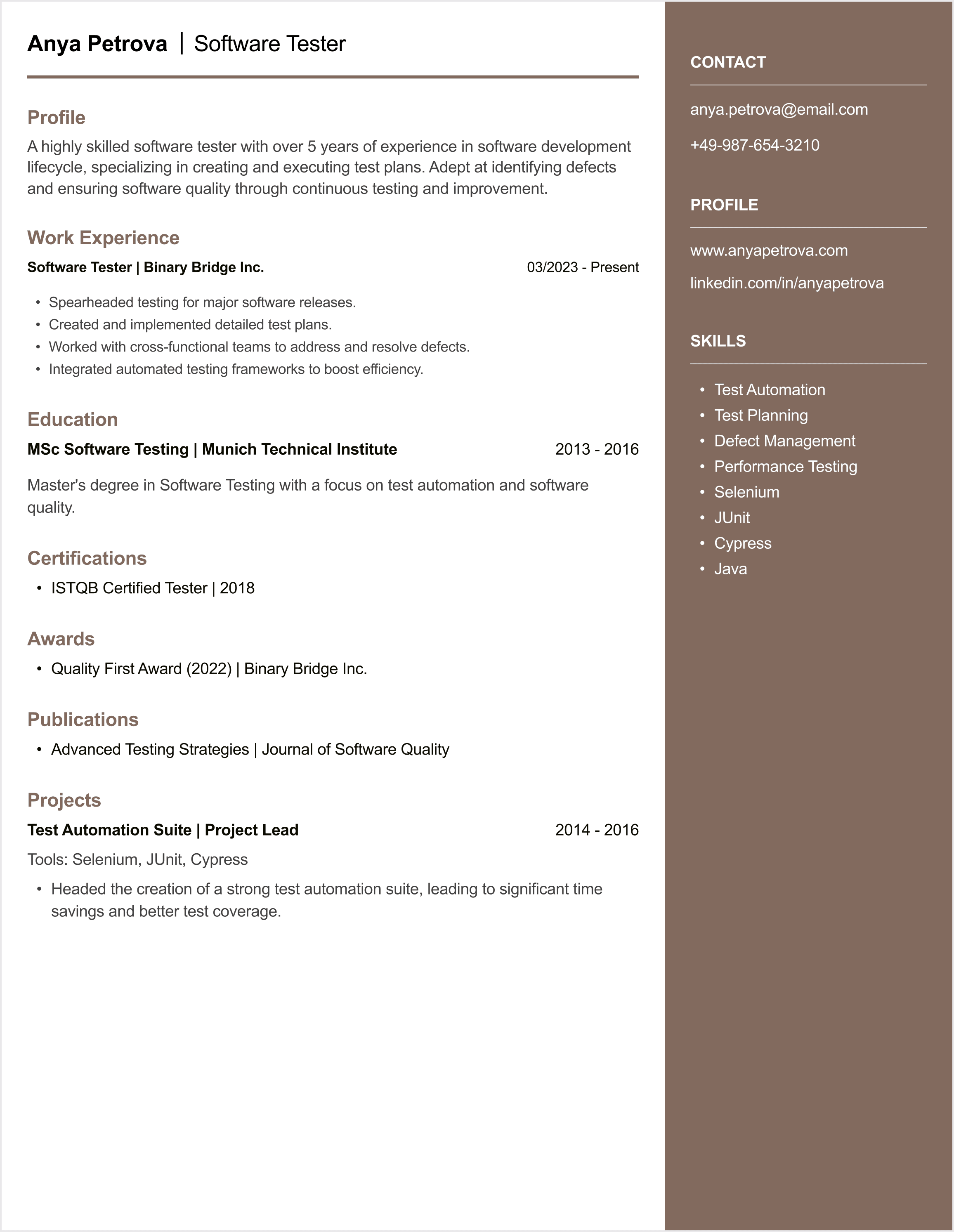 Software Tester CV example